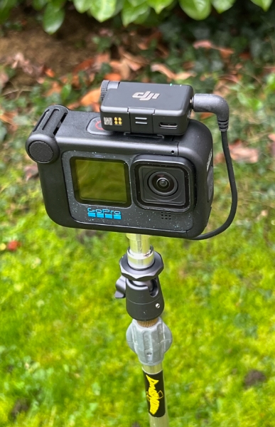 GoPro remote